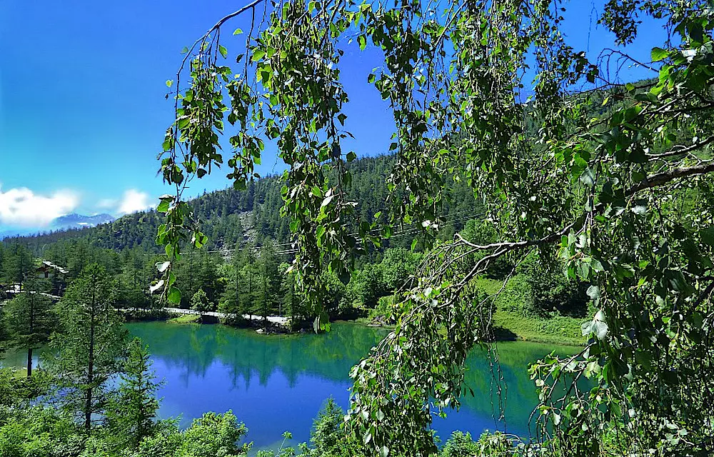 Panorama dallo Chalet Sul Lago